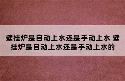 壁挂炉是自动上水还是手动上水 壁挂炉是自动上水还是手动上水的